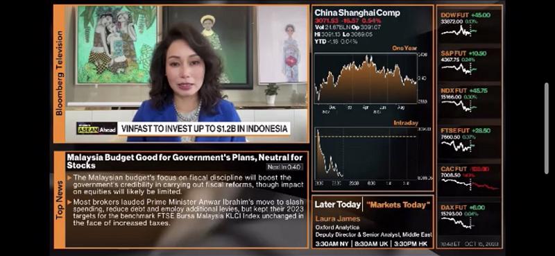 CEO VinFast: 76 triệu cổ phiếu đăng ký lưu hành bổ sung sẽ giúp VFS nâng cao thanh khoản