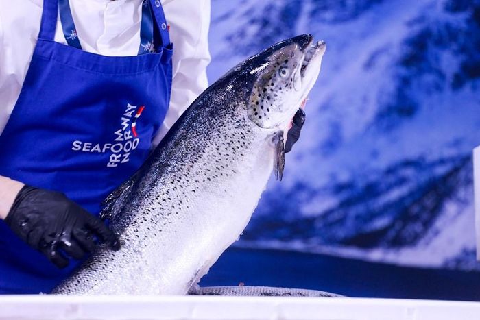 Thúc đẩy thương mại hải sản giữa Na Uy và Việt Nam