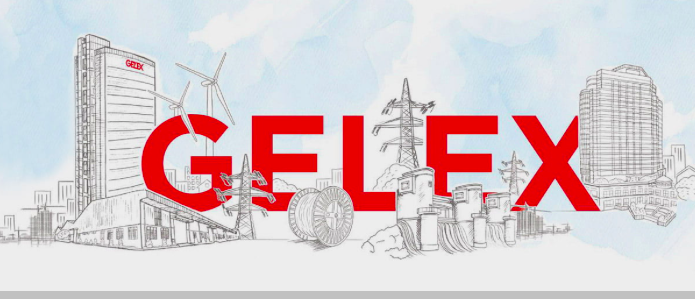 GEX: Không đề cử đại diện vào Eximbank, VIX không phải là thành viên