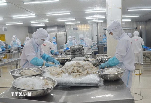 Xuất khẩu thủy sản tăng tốc trở lại: Tự tin vượt mục tiêu 10 tỷ USD